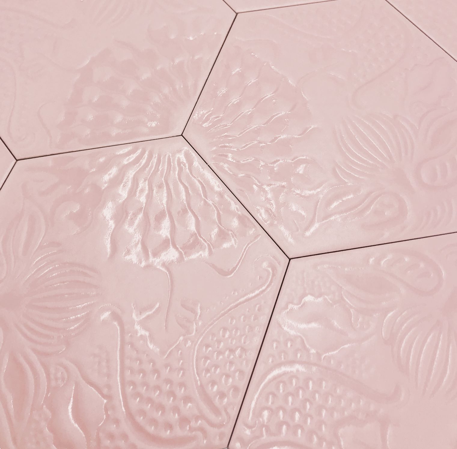 Gaudi Lux Rose | Codicer DE