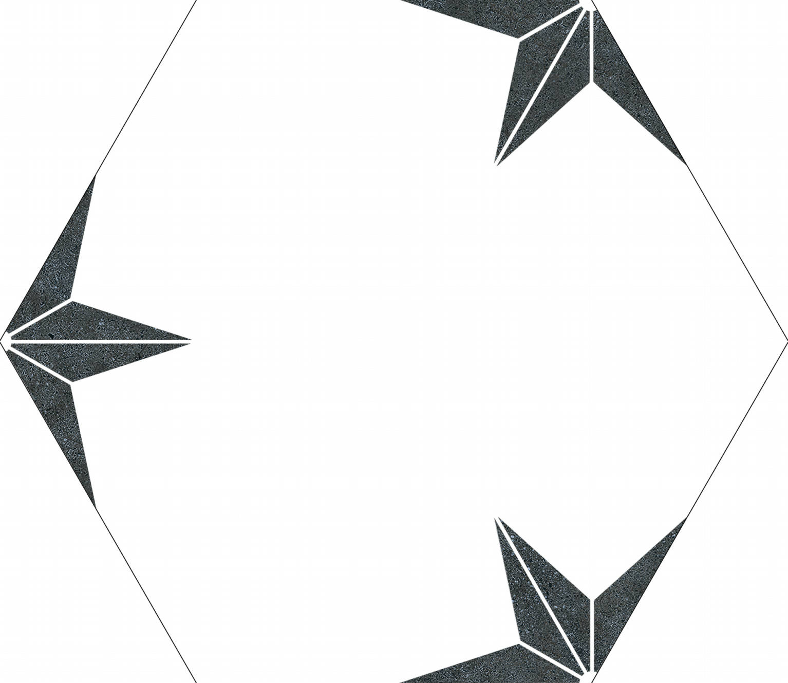 Stella Nero | Codicer