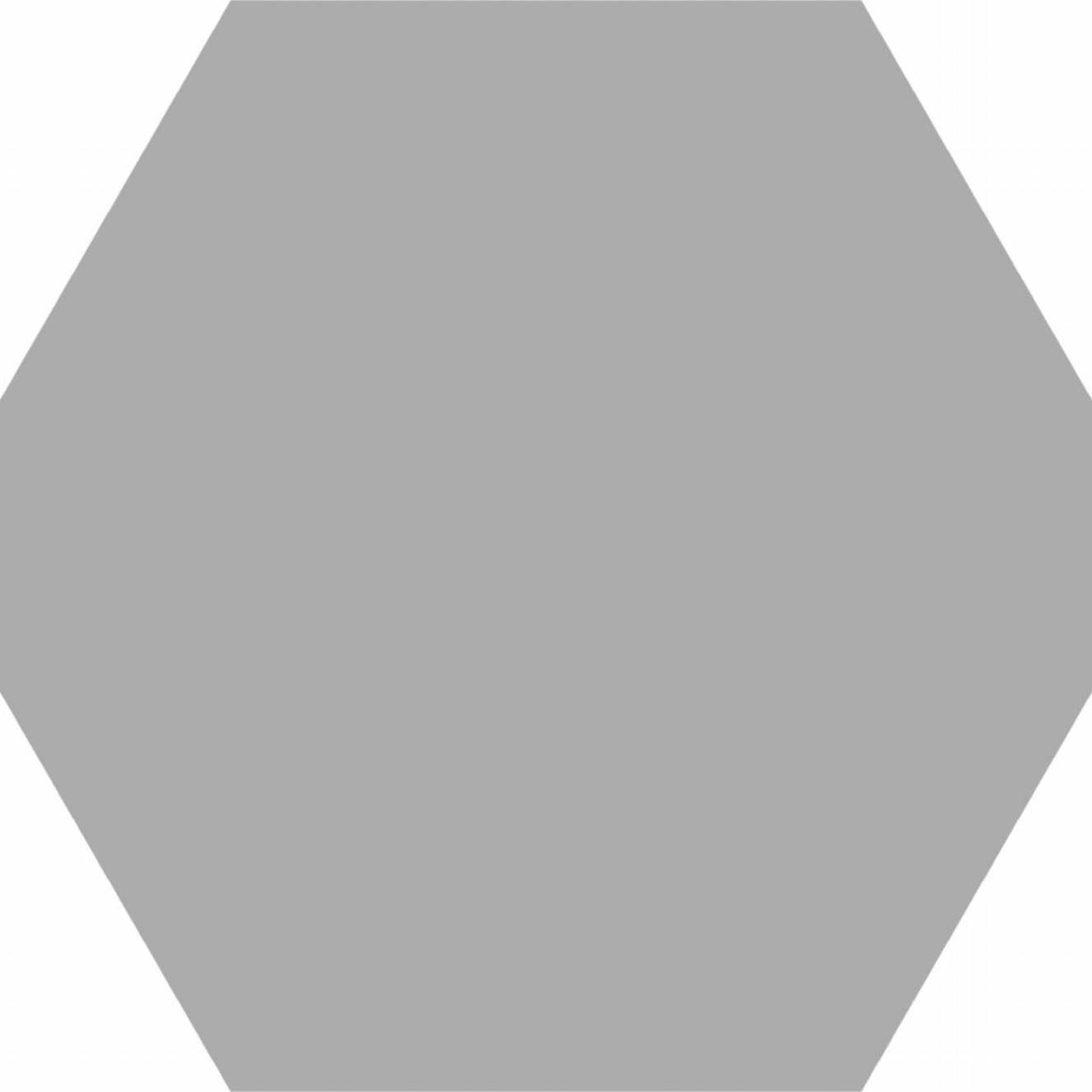 Basic Silver Hex 25 | Codicer