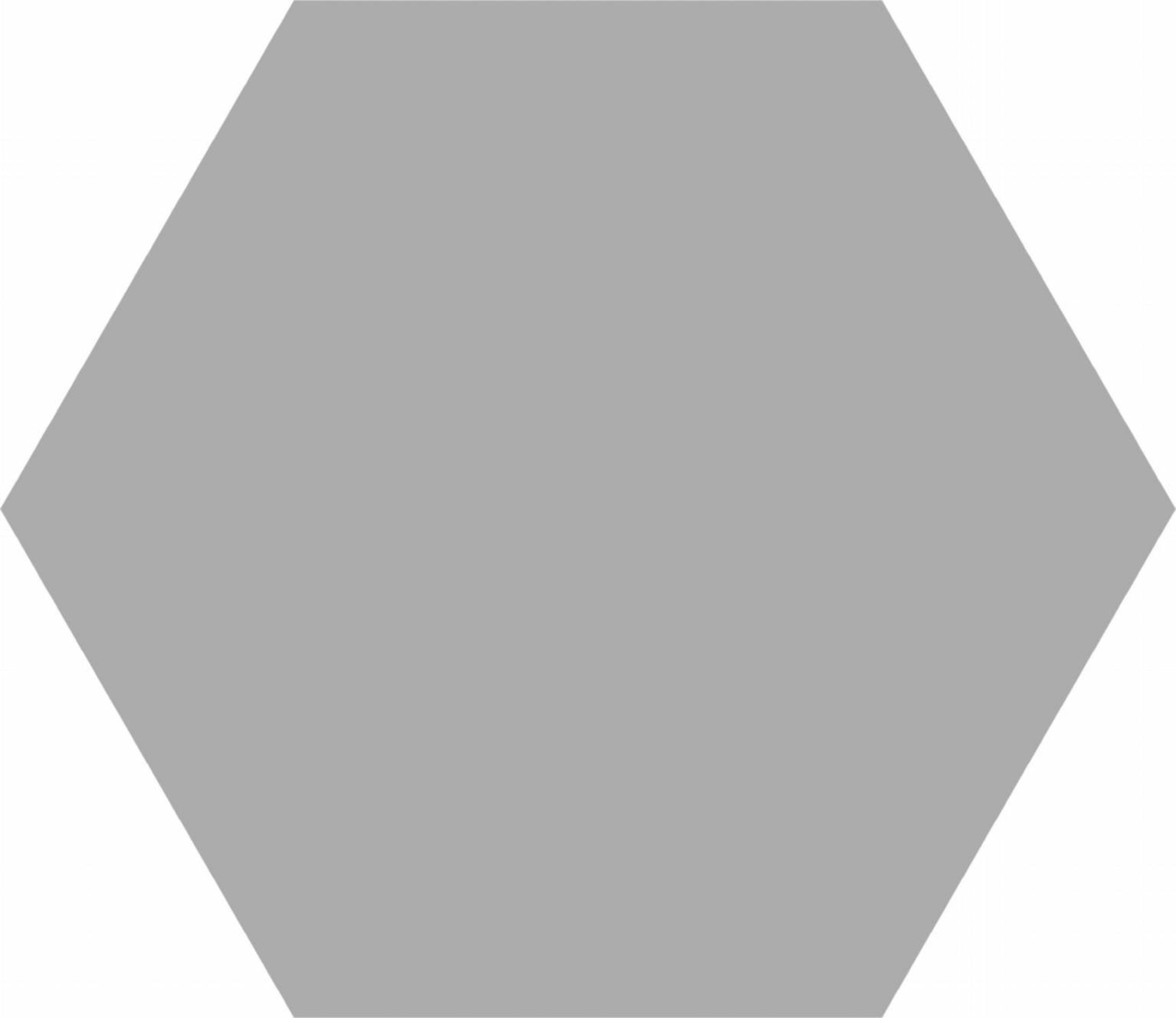 Basic Silver Hex 25 | Codicer